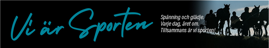 Banner 1140x206_mindre text-02.jpg