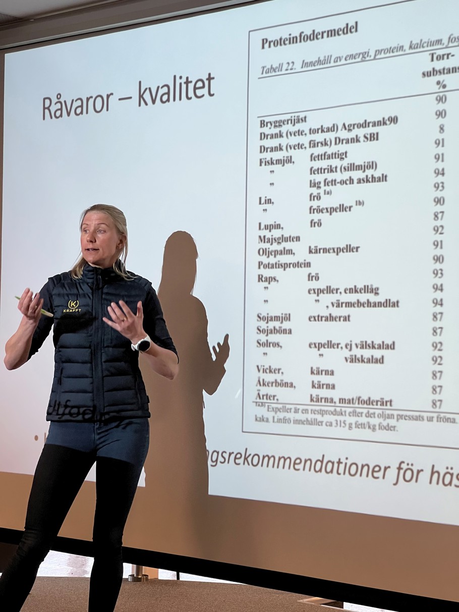 Krafft föreläsning råvaror.jpg