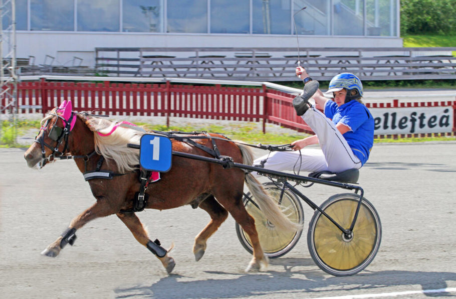 Månstorps-Opal-mål3-1024x671.jpg