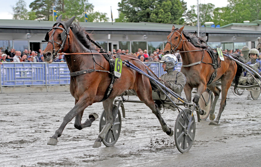 Firefoot  mål_220611.jpg